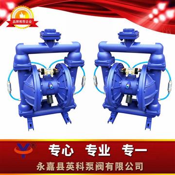鑄鐵粉體氣動隔膜泵